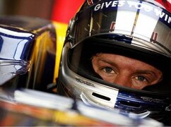Eine Maus im Cockpit würde Sebastian Vettel ordentlich unter Stress setzen...