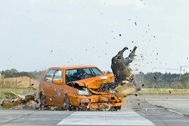 Wildschwein-Crashtest