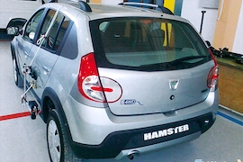 Erlkönig Dacia Hamster Electricway 4WD