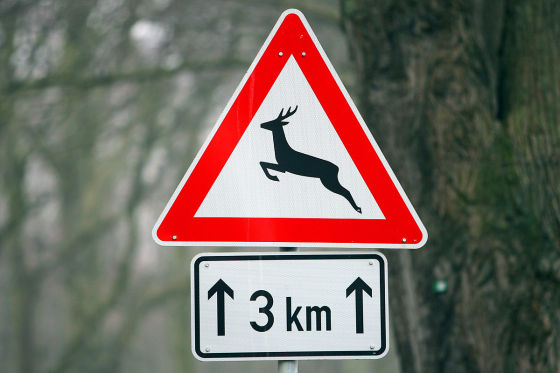 Verkehrsschild Wildwechsel