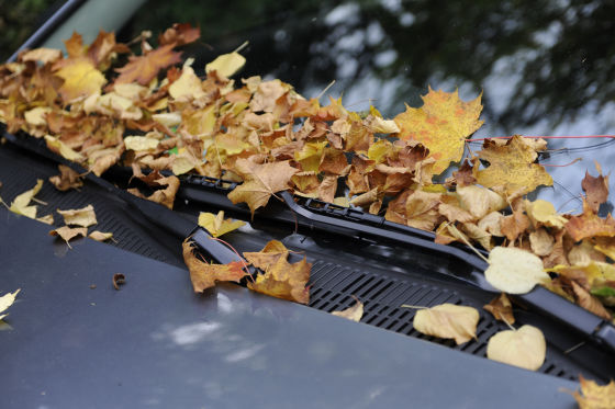 Vorsicht, der Herbst ist da!
