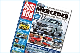 AUTO BILD 46/2010
