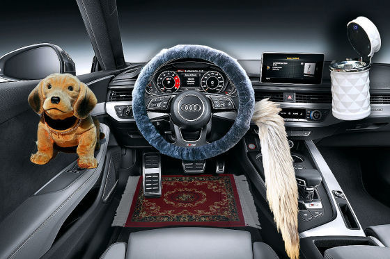 Kurioses Autozubehör bei Amazon