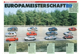 Die Top-12 in Europa