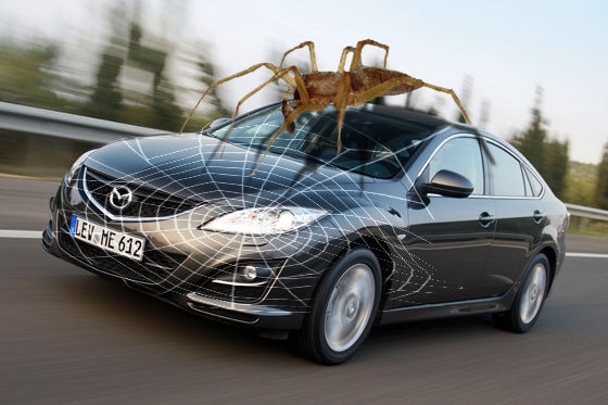 Mazda6 mit Gelber Sackspinne