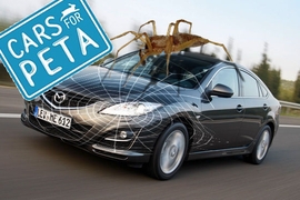 Montage Cars for PETA