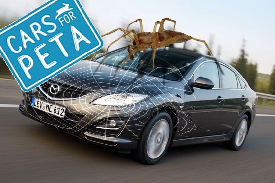 Montage Cars for PETA
