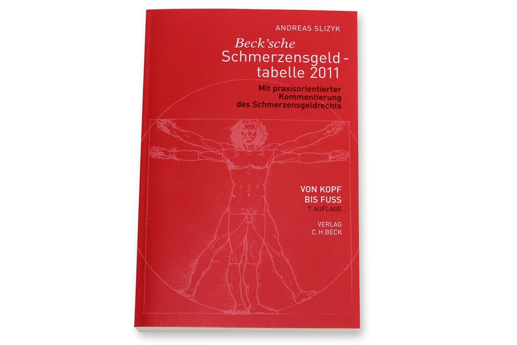 Schmerzensgeld Buch