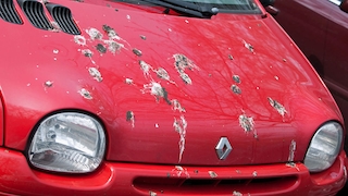 Vogelkot  auf dem Auto