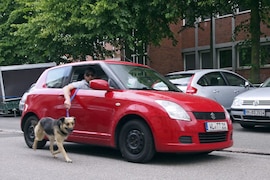 Hund mit dem Auto ausführen 5 Euro Bußgeld