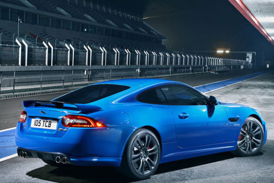 Katze mit 550 Pferden