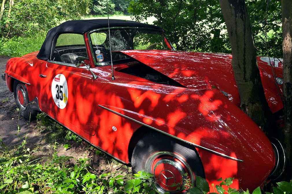 Mercedes 190 SL am Baum