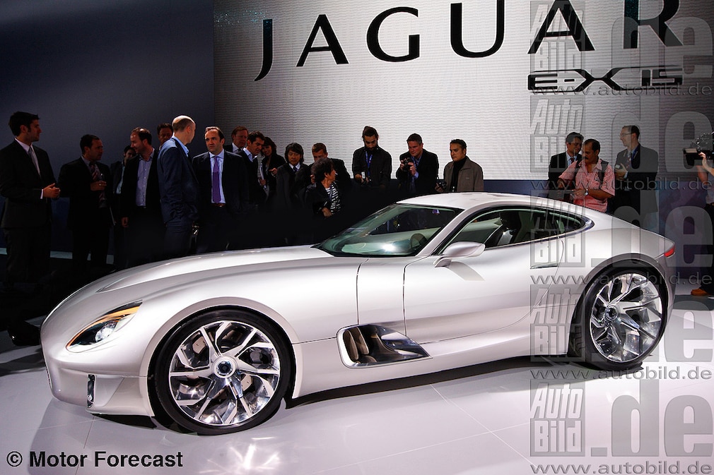 Jaguar E-Type Illustration