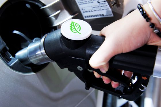 Die Wirtschaft drückt aufs Gas