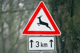 Verkehrsschild Wildwechsel