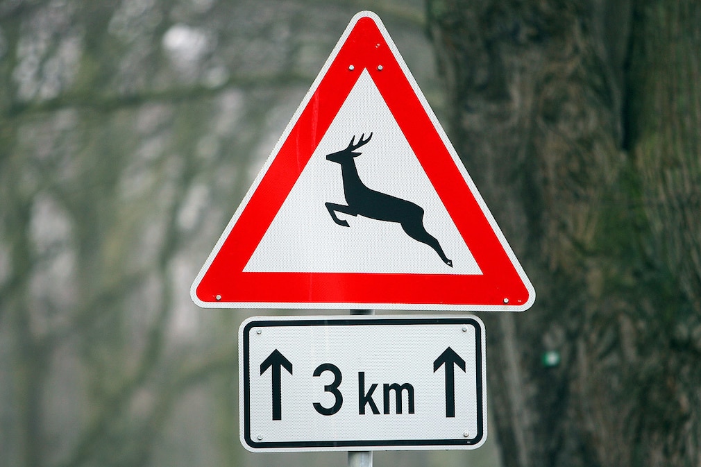 Verkehrsschild Wildwechsel