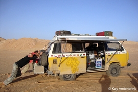 Vom Kiez zum Kap im VW Bus