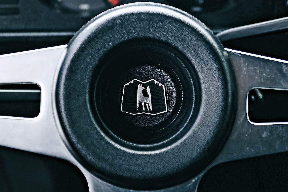 Reizvolle VW
