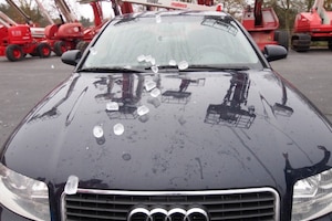 Hagel-Test