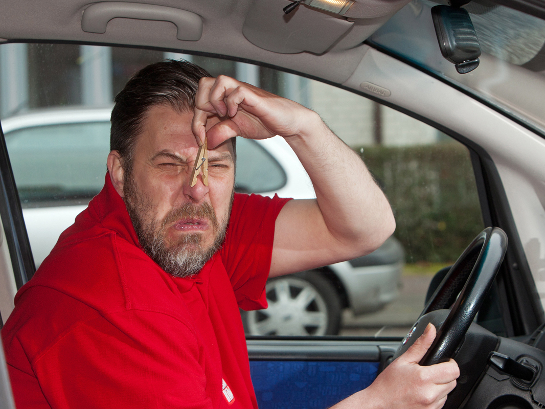 Gerüche im Auto entfernen: So klappt es! - AUTO BILD
