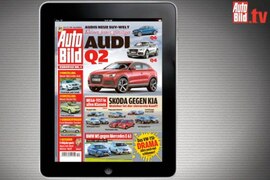 Das Editorial