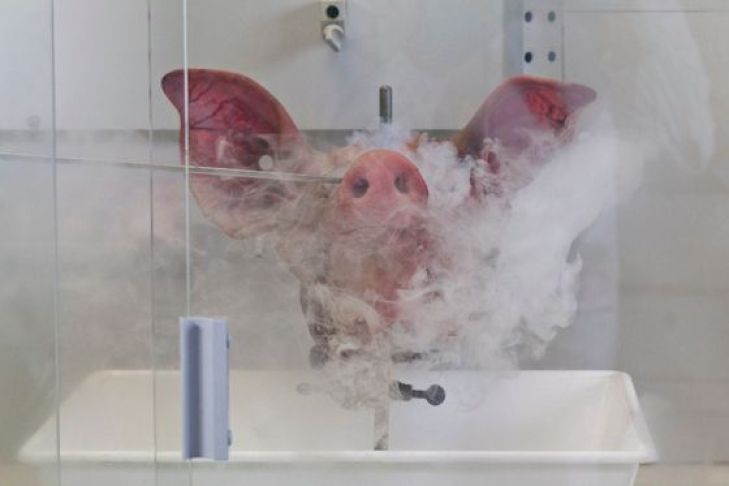 Uni München: Experiment mit Fluorwasserstoff
