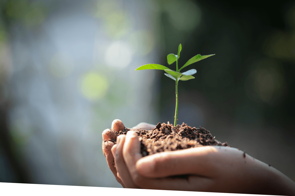 Verantwortung und Selbstverst�ndnis