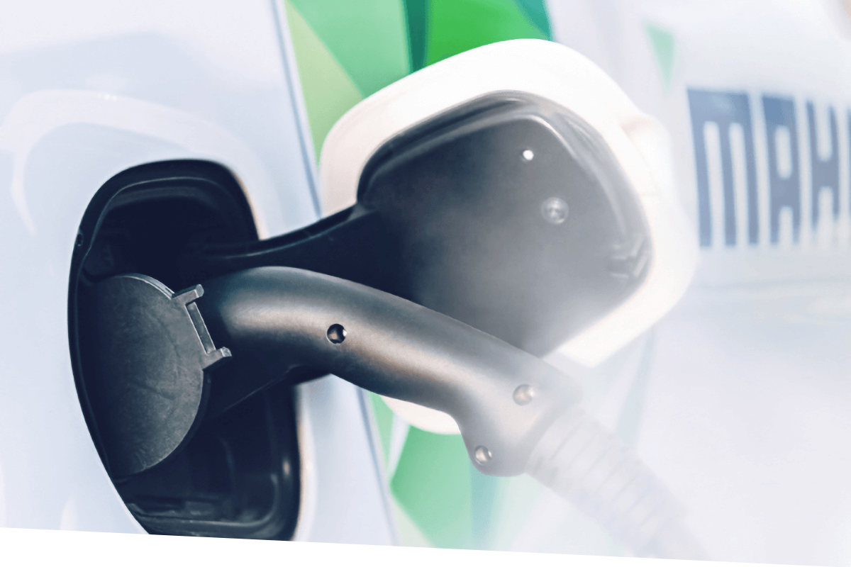 Elektrisierende Vielfalt