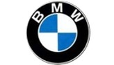 BMW 503 